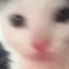 tara - @tarathefish1 - TikTok