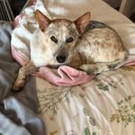 @tara_flora_ - Instagram