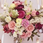 Tara McHugh Flora - @tara_mchugh_flora - Instagram