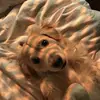 taraflorence - @digitalproductsbytara - TikTok