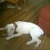 Tara Fraley - Facebook