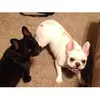 Tara Frank - @tara.frank05 - TikTok