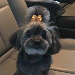 Tara Friedman Guidi - @taragguidi - Instagram
