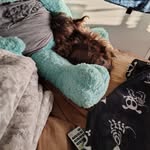 Tara Long - @tarafullerton2 - Instagram