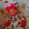 taragault - @taragault - TikTok