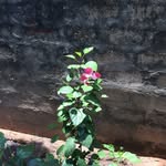 taragavan - @taragavan24 - Instagram