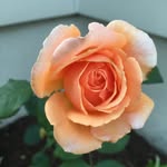Tara Geist - @tgeist14 - Instagram