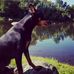 Tara Geraghty - Facebook