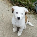 Tara Gerdes - @gerdestara - Instagram