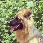 tara.german - @tara_gm1 - Instagram