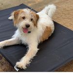 Tara’s Story - @tara_life_germany - Instagram