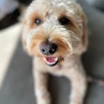 Ta Ra Go Etz - @taragoetz - Instagram