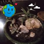 Tara Goetz - @goetz9182 - Instagram