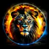 tiger Sher Khan 80 - @taragood477 - TikTok