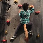 Tara Gooding - @goodingtara - Instagram