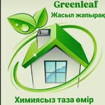 Эко продукт 🍀 - @greenleaf_taraz_gulnara - Instagram