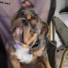 Tara Griffiths - @tara.griffiths - TikTok