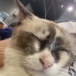 Tara Guess - Facebook
