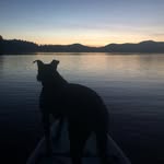 Tara DeCosmo Gurney - @t.m.gurney - Instagram