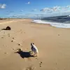 Tara Gurney967 - @tgurney1020 - TikTok