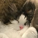 Tara Gustafson - @tara277 - Instagram