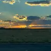 tara - @tara.gustafson - TikTok