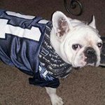 Tara Halverson Graham - @tlynbear - Instagram