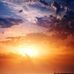 Tara Harbin - Facebook