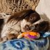 Tara Hatfield - Facebook