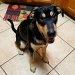 Tara Hatfield - @thatfield11 - Instagram
