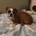 Tara Hatley Lewis - Facebook