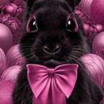 Tara M. Heller - @tmdenkin - Instagram