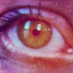 Tara Herrick - @tjshortie - Instagram