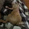 Tara Higgins - @tara.higgins1 - TikTok