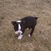Tara Higgins - @tara.higgins5 - TikTok