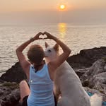Tara - @tara_white_friend - Instagram