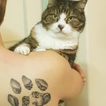 Tara Hoffmann - @crazycatladyno.1 - Instagram