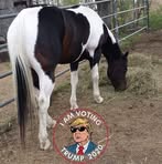 Tara Hoffmann - Facebook