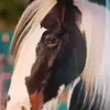 Florin Tara Holstein - @florinholstein - TikTok
