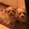 tarajacobylabar - @tarajacobylabar - TikTok