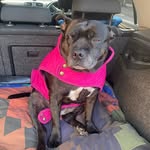 Tara Jones - @old_girl_lexi_ - Instagram