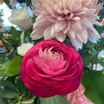 Tara Jones - @wildherflowerfarm - Instagram