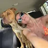 Tara Jones - @tarajones46 - TikTok