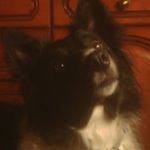 Tara Keane - @magster466 - Instagram