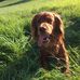 Tara Keane - Facebook