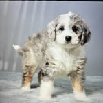 Tara Keefer - @keefertara - Instagram