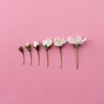 TaraTaraTara - @tara__keepgrowing - Instagram