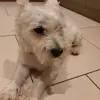 user9822561061337 - @taramckillen - TikTok