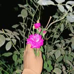 Tarak Islam - Facebook