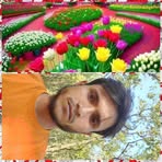 Tarak Islam - Facebook